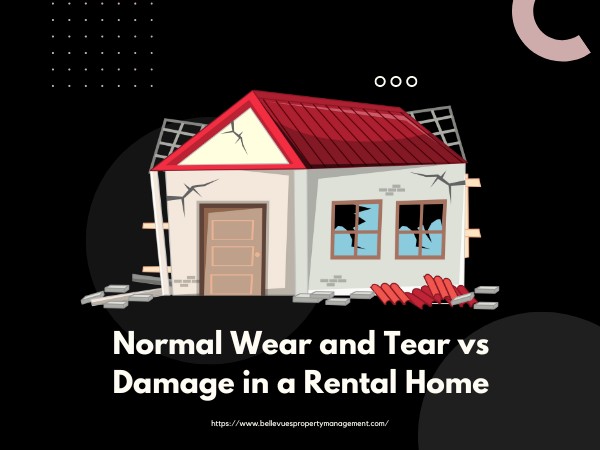 Normal Wear and Tear vs Damage in a Rental Home